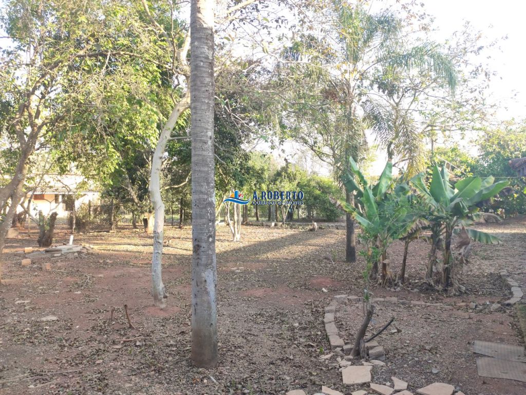Foto do imóvel 559