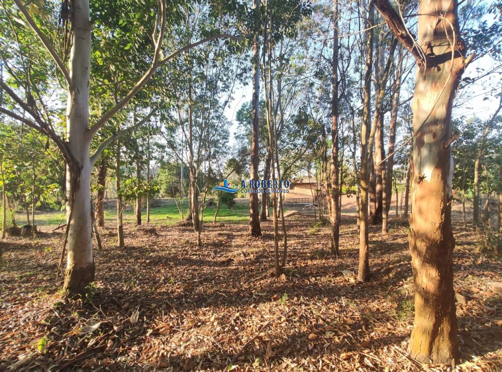 Foto do imóvel 559