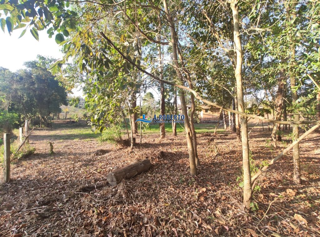 Foto do imóvel 559